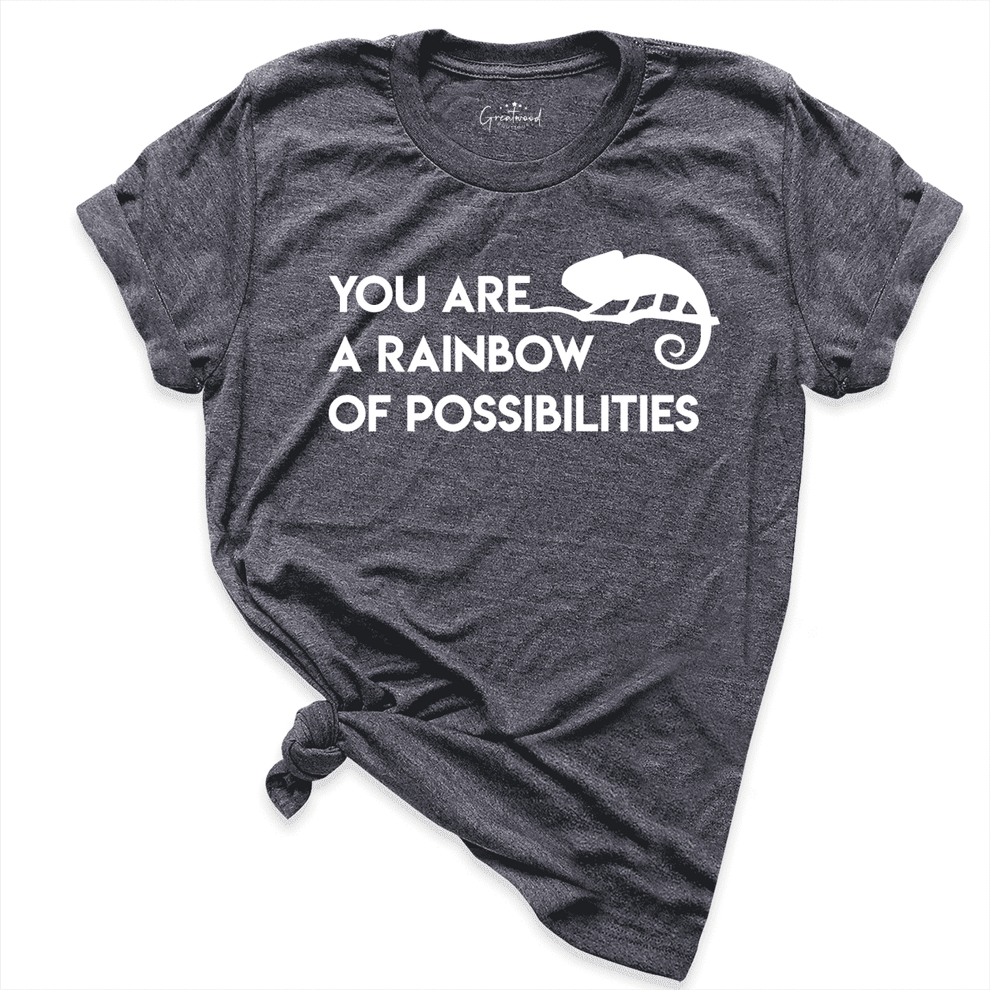 You Are a Rainbow Of Possibilities Shirt D.Grey - Greatwood Boutique